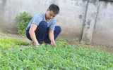 Mâm ngũ quả đặc biệt của lính Trường Sa trong ngày Tết